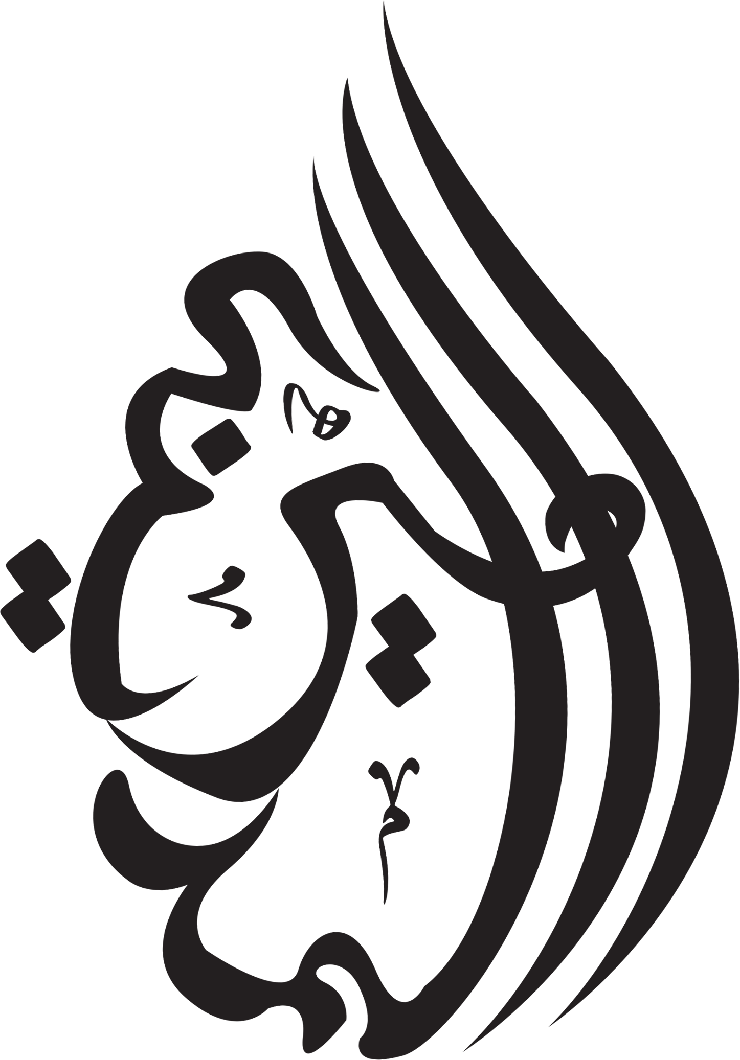 amir elmadina